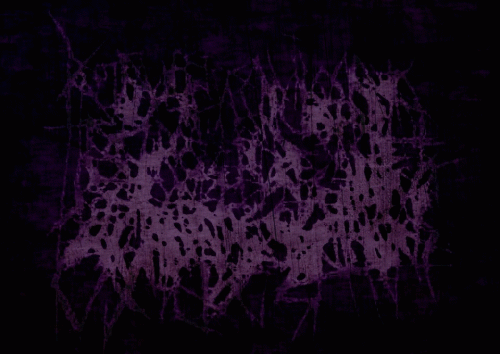 La Verdadera Respuesta a la Existencia Humana